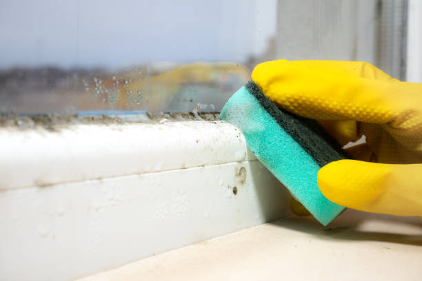 Best Mold Prevention Services  in Goodyear, AZ